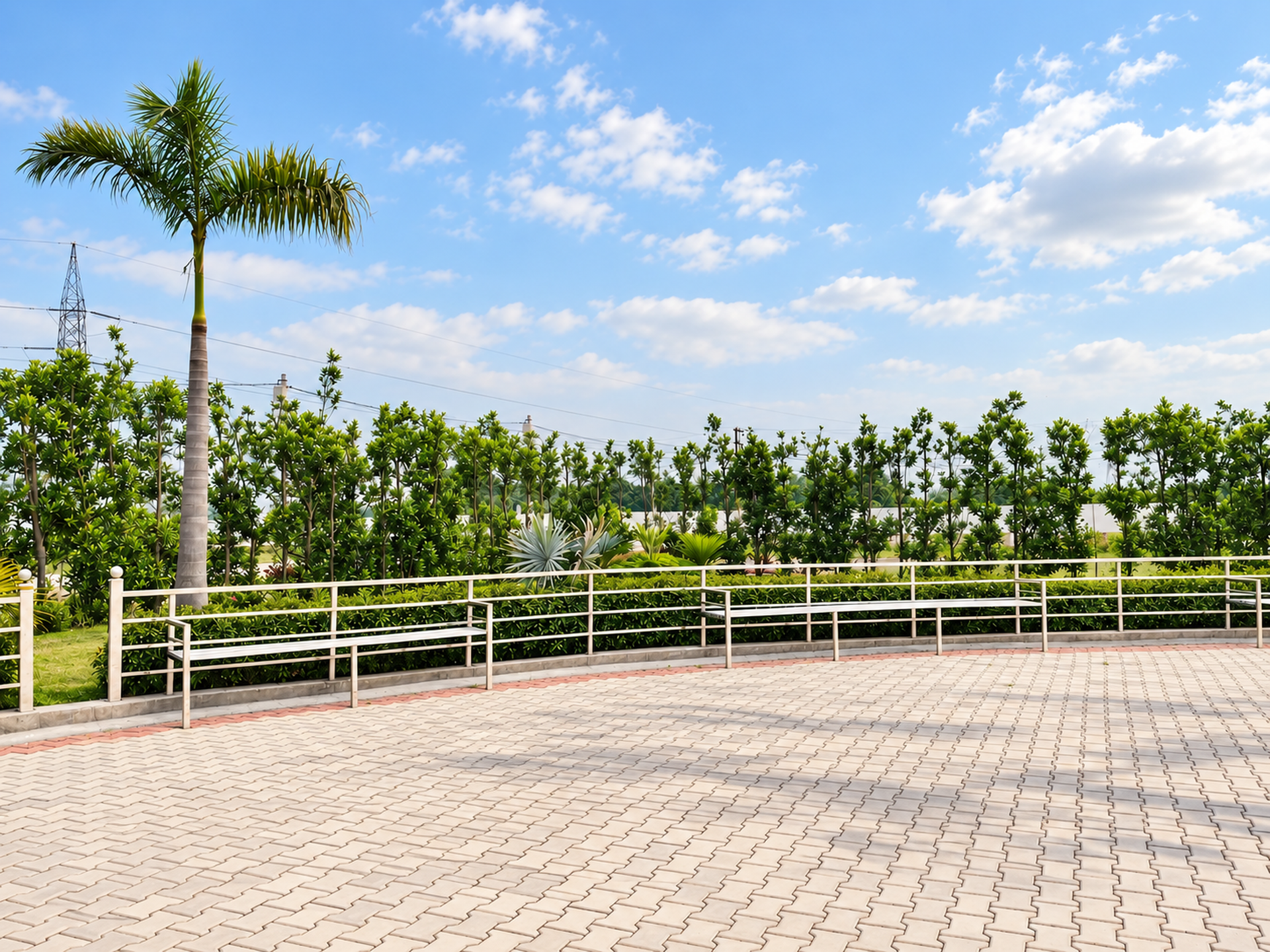 A palm tree and planted hedge behind metal benches beside the paved plaza.