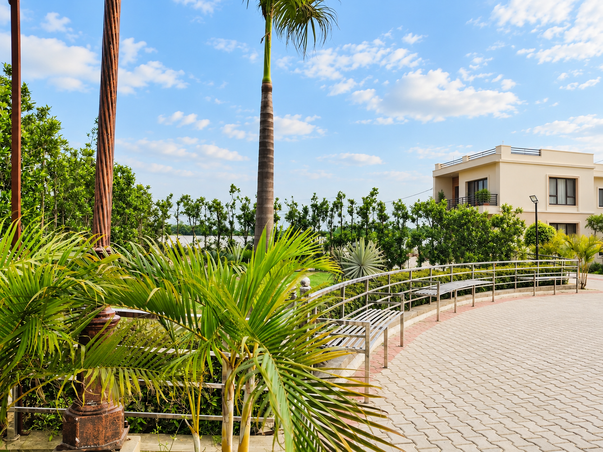 Bright palm foliage, metal benches and tree-lined planting beside a paved walkway.