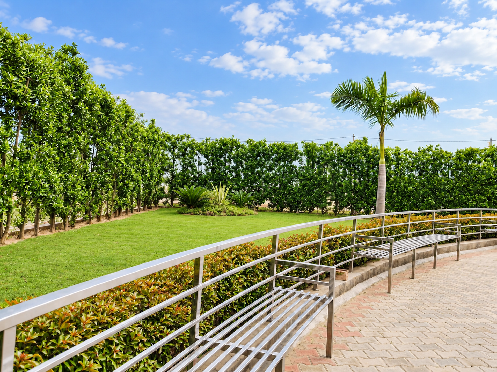 Green lawn, a palm, clipped hedges and metal benches at River Green.