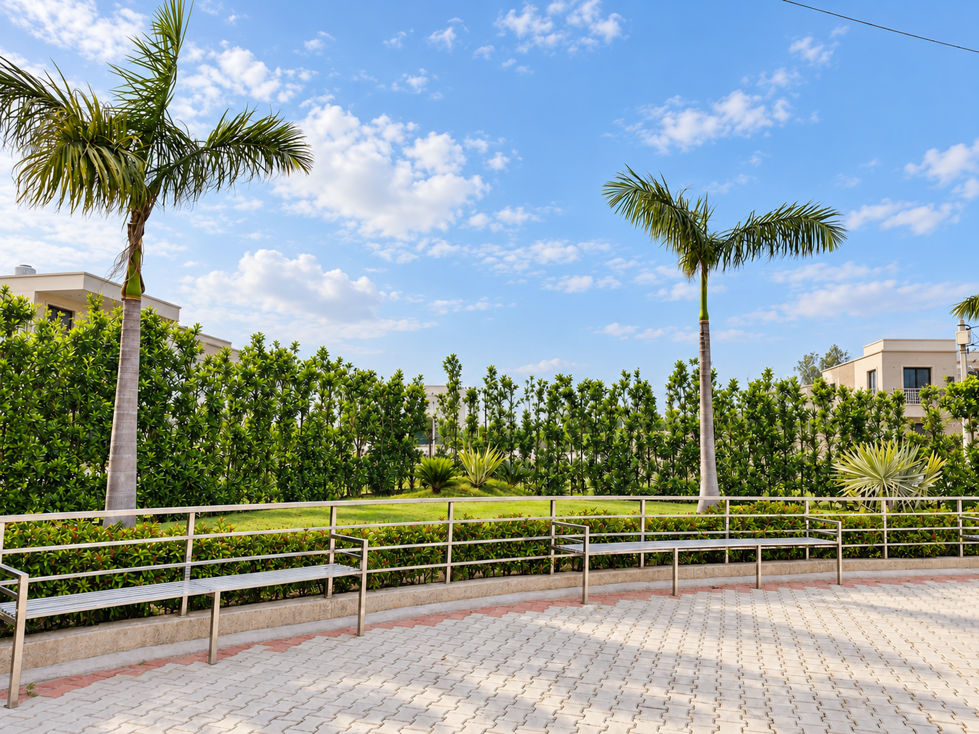 Two palms behind curved metal benches, hedges and the paved plaza.
